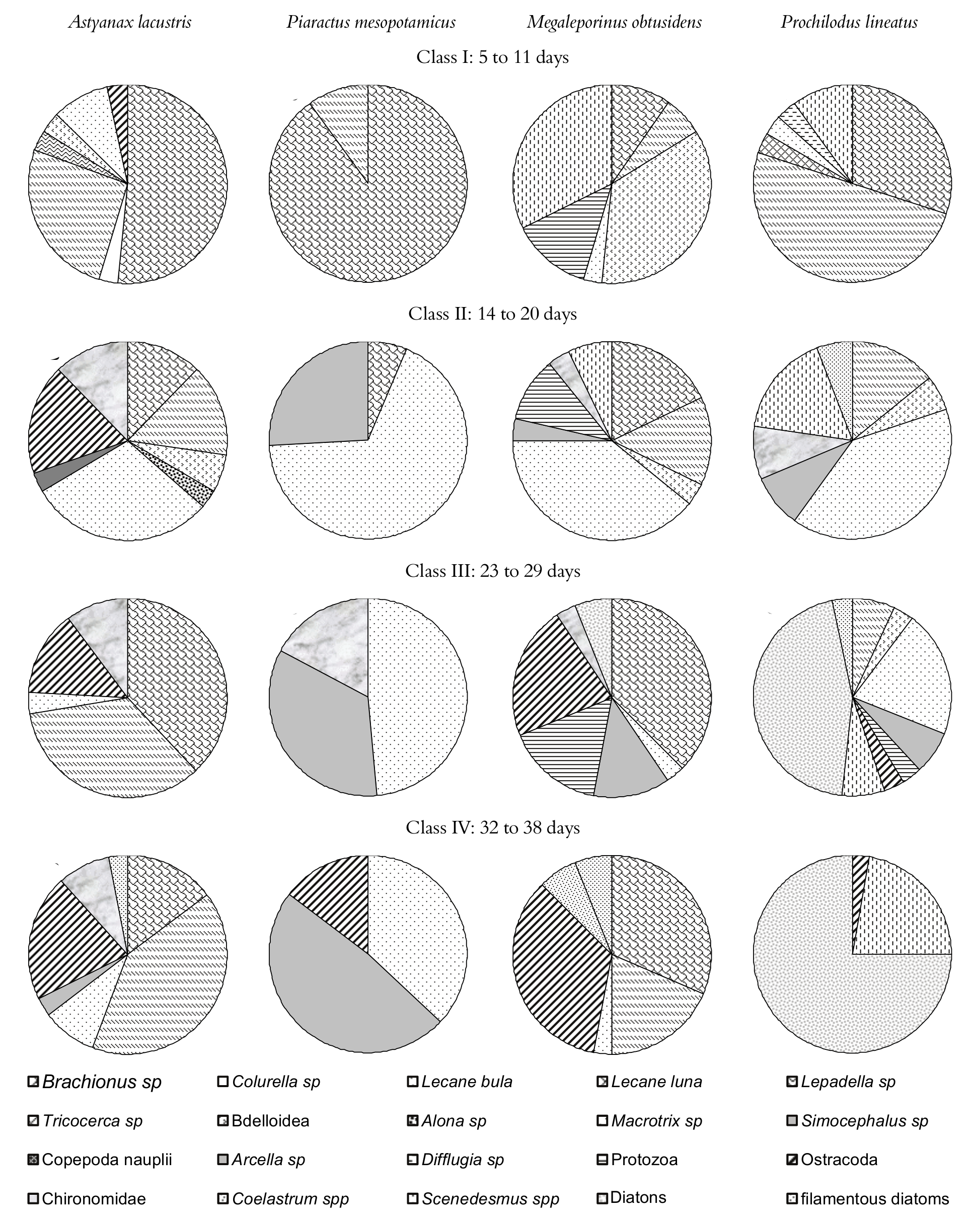 Percentages of dominant items in
the gastrointestinal contents of young stages of Astyanax lacustris, Piaractus
mesopotamicus Megaleporinus
obtusidens and Prochilodus lineatus
with different ages.