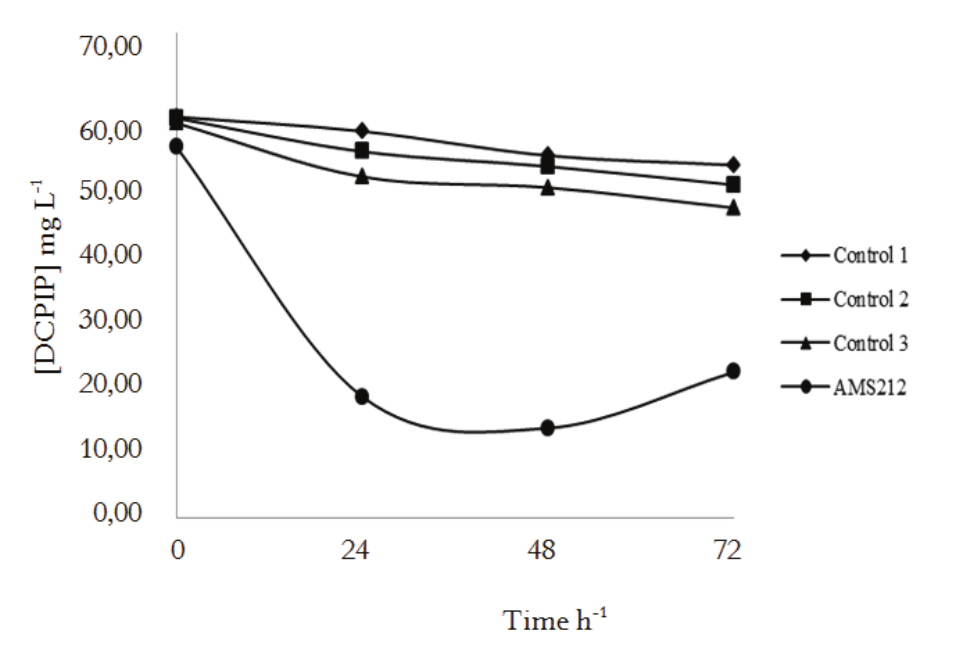 Concentration of DCPIP as a function of time.