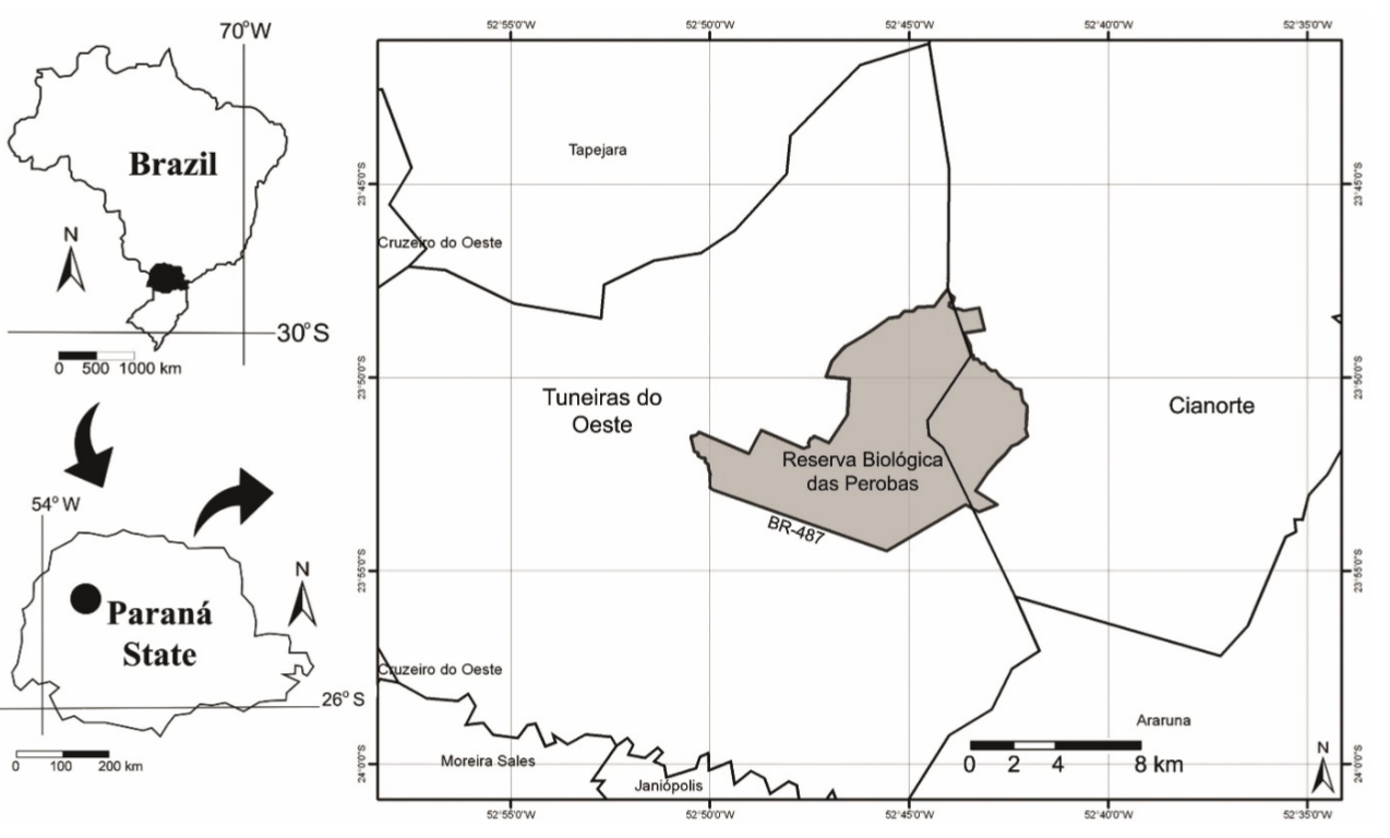  Location
of the ‘Reserva Biológica das Perobas’,
State of Paraná, Brazil.