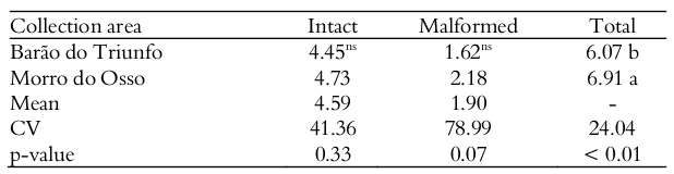 Mean of
intact, malformed and total seeds in Campomanesia
aurea fruits from two collection areas. UFRGS, Porto Alegre, Rio Grande do
Sul state, Brazil.