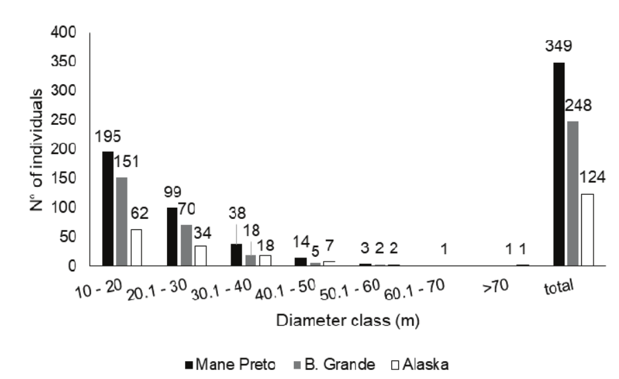 Diametric
distribution of Protium Burm. f. individuals, inventoried in the Iratapuru River RDS , Amapá State, Brazil.