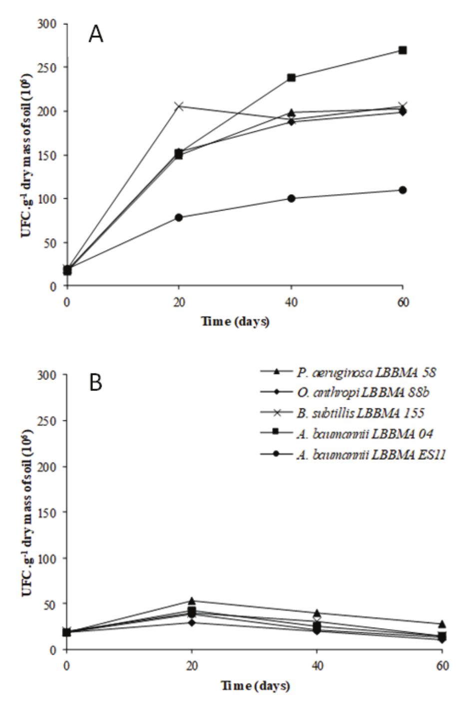 Cell counts of
the bacterial consortium present in the soil contaminated with diesel oil (A)
and in the soil without the addition of diesel oil (B).