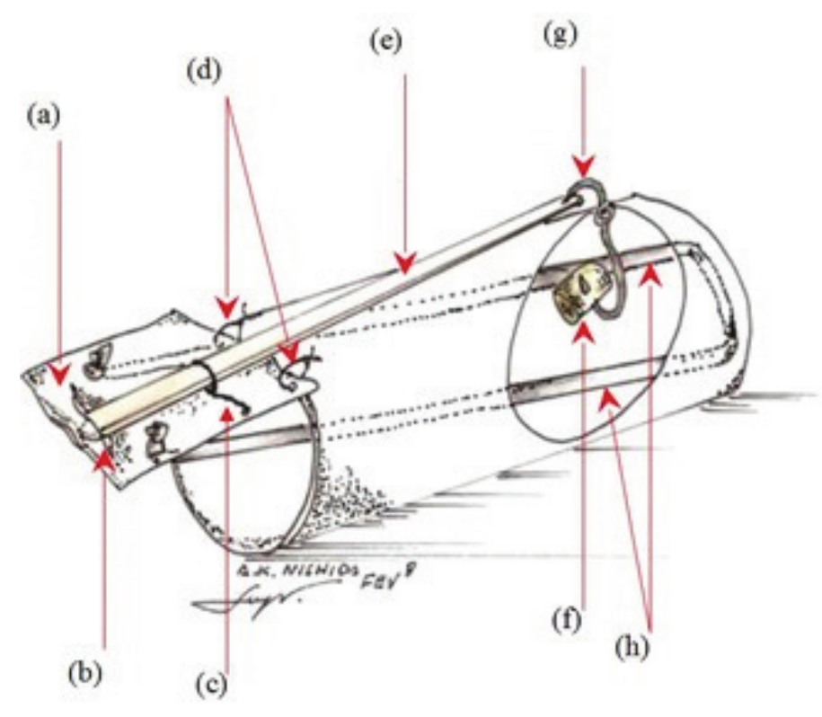 ‘Ratoeira’ trap made from a cooking oil can and a melted PET
bottle. (a) lid, can; (b) groove in the lid made to hold the wooden rod; (c)
rubber strip attaching the rod to the lid; (d) wire hinge; (e) wooden rod; (f)
a piece of sugar cane bait; (g) wire trigger; (h) rubber strip attached inside
the can.