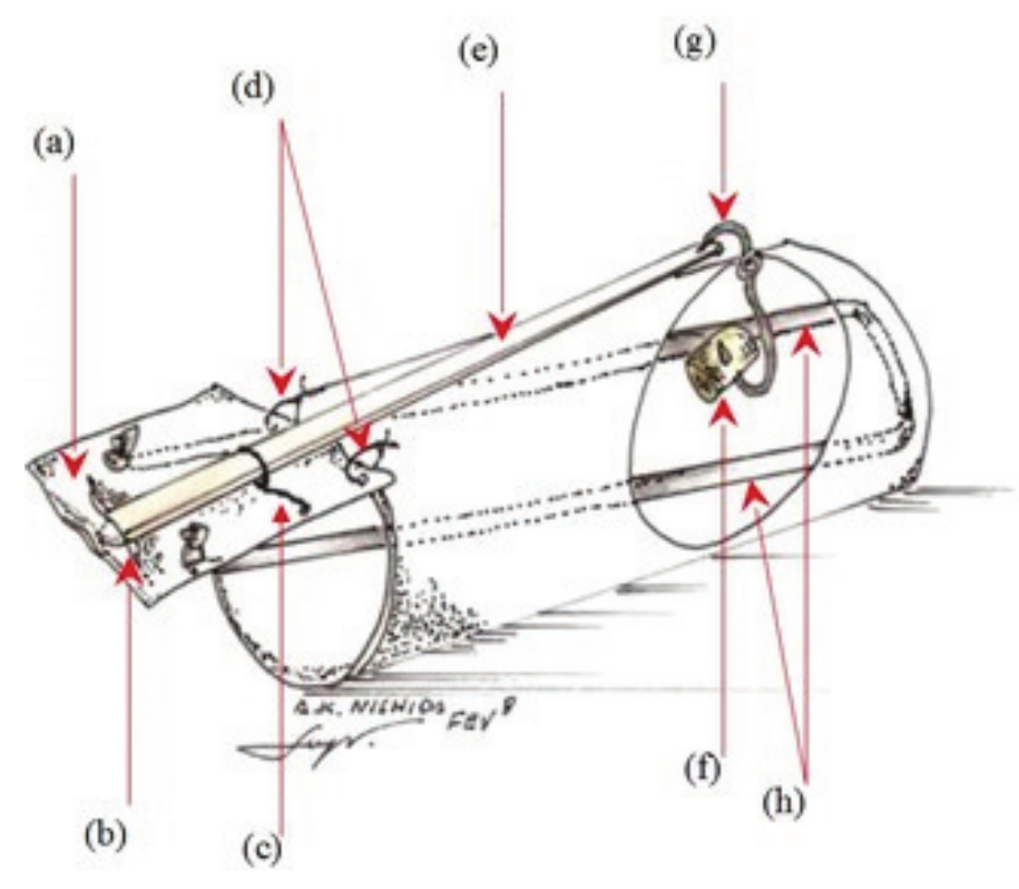 Traditional knowledge and variations in capture techniques used for blue  land crab (Cardisoma guanhumi, L. 1825) along the coast of Paraíba, Brazil