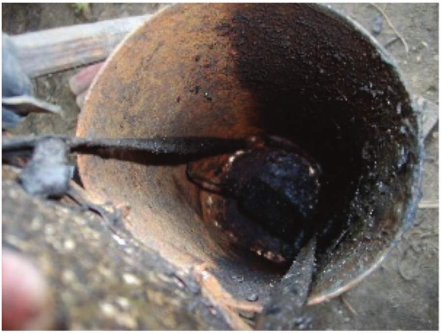 The rubber inner
the trap.