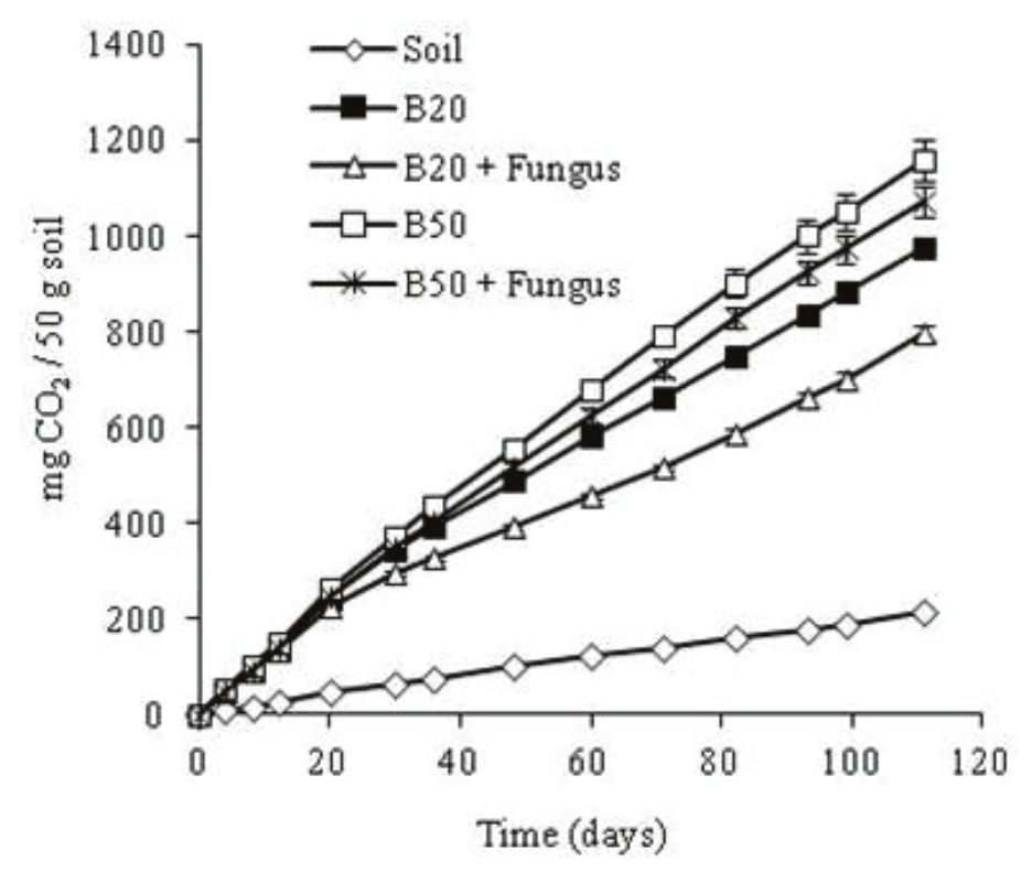 Accumulated CO2
production in the respirometric experiments
(biodiesel/diesel blends).