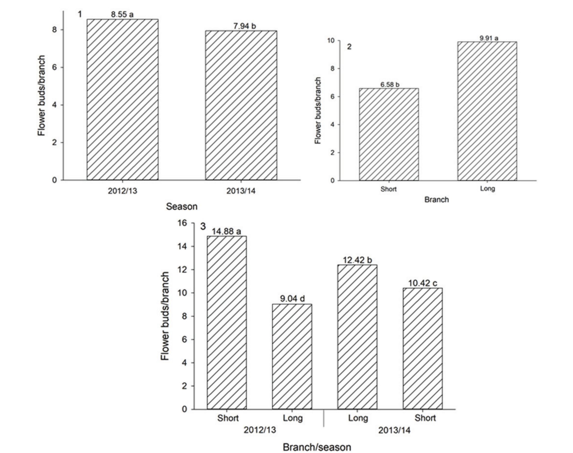 Average number of flowers buds cv. ‘Climax’ as a function of the season
(illustration 1) and the length of the branch (illustration 2), and the total
average number of vegetative buds as a function of the two-way interaction
between the length of the branch and the season (illustration 3), for the
climatic conditions of the mesoregion of Pelotas, Brazil. Averages followed by
the same letter in the figure do not differ either by the F or Tukey’s HSD test
(p ≤ 0.05).