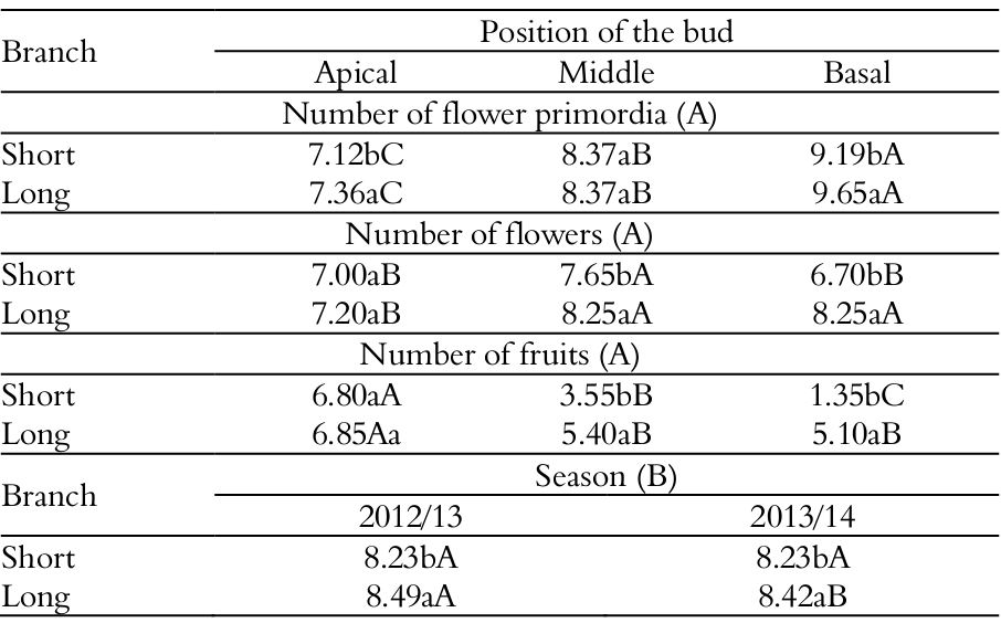 Number of flower
primordia, flowers and fruits, cultivar ‘Climax’, as a function of the
interaction between the length of the branch and the position of the bud (A)
and, number of flower primordia as a function between the season and the length
of the branch (B), Pelotas, Rio Grande do Sul State, Brazil.