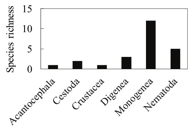 Species richness of fish parasites according
to taxonomic group from the Amambai River, Upper Paraná River, Brazil.