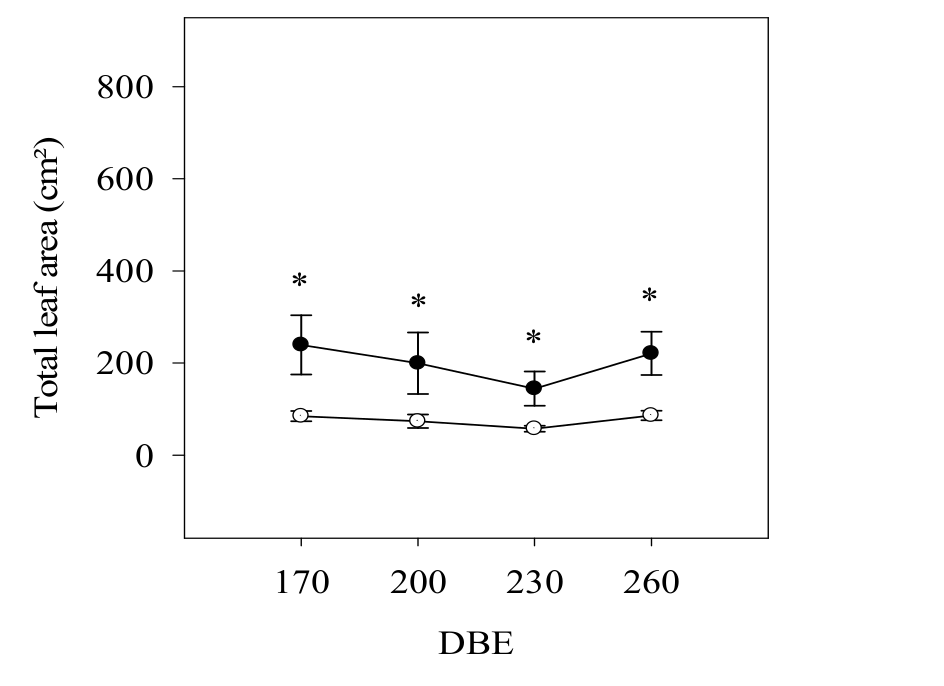 Total leaf area in E. contortisiliquum plants grown under ambient (○) or high [CO2] (●). DBE = days after beginning the
experiment. Symbols represent averages (n = 5) and bars indicate standard
error. Differences between CO2 treatments (ambient and high) or
among measurement periods are indicated: *, main effect;**,
double interaction.  

 