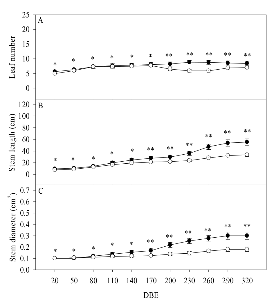 Morphometrical traits in E. contortisiliquum plants grown under ambient (○) or high [CO2] (●). Leaf number (A); stem length (B);
stem diameter (C); DBE = days after beginning the experiment. Symbols represent
averages (n = 5) and bars indicate standard error. Differences between CO2
treatments (ambient and high) or among measurement periods are indicated: *,
main effect;**, double interaction.
