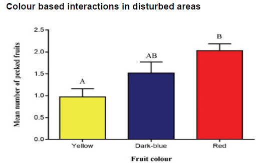  Mean number (±SE) of artificial fruit colours
pecked per plant in three disturbed areas in the Cerrado.
Different letters represent statistical significance (p < 0.05)