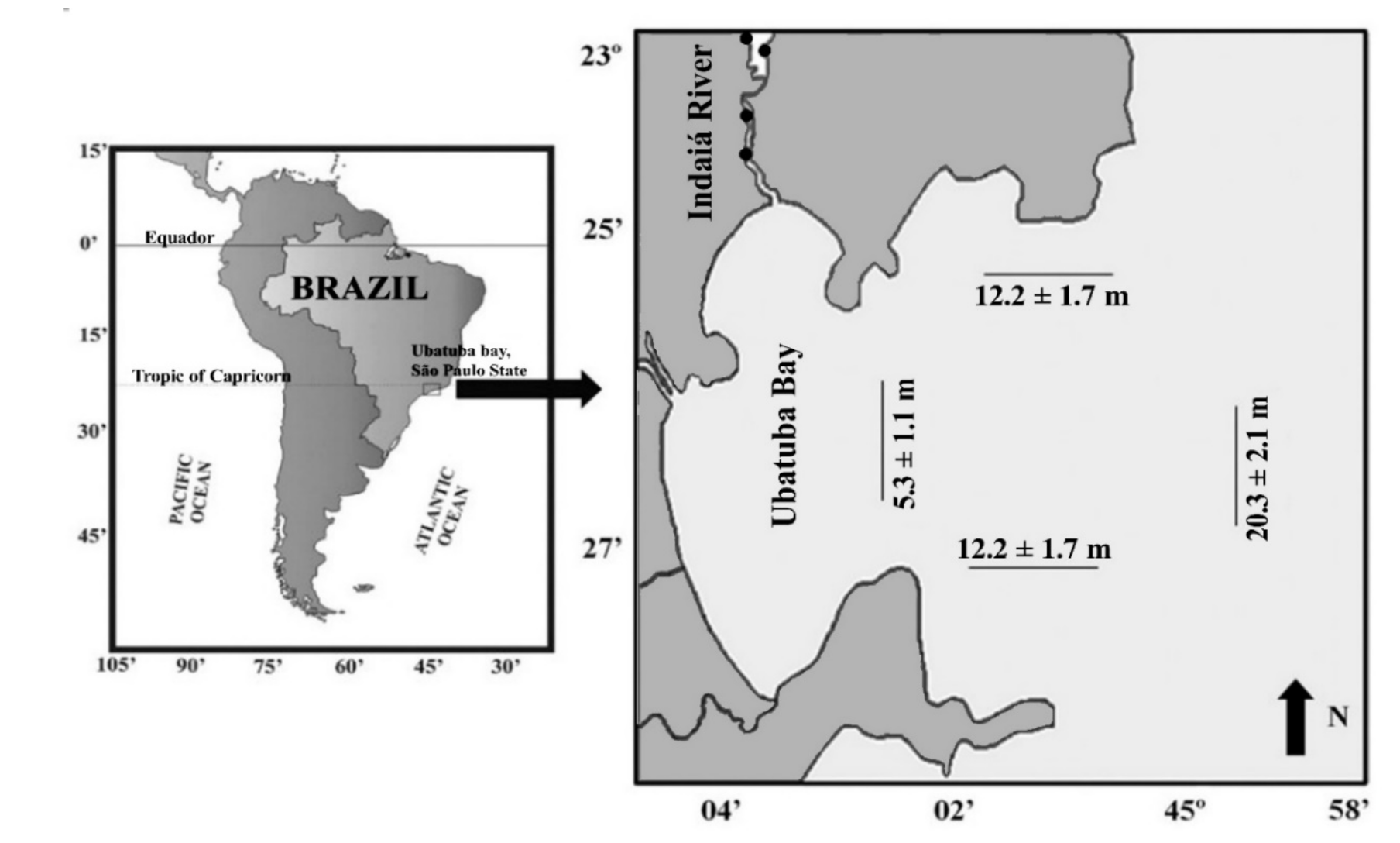  Map of the
study area. Northern region of São Paulo state (left), Ubatuba
Bay, and Indaiá Estuary. Lines indicate the sampling
sites and their mean depths for bay sampling; black dots indicate the sampling
sites in the estuary (Indaiá River) (adapted from Capparelli et al., 2012).