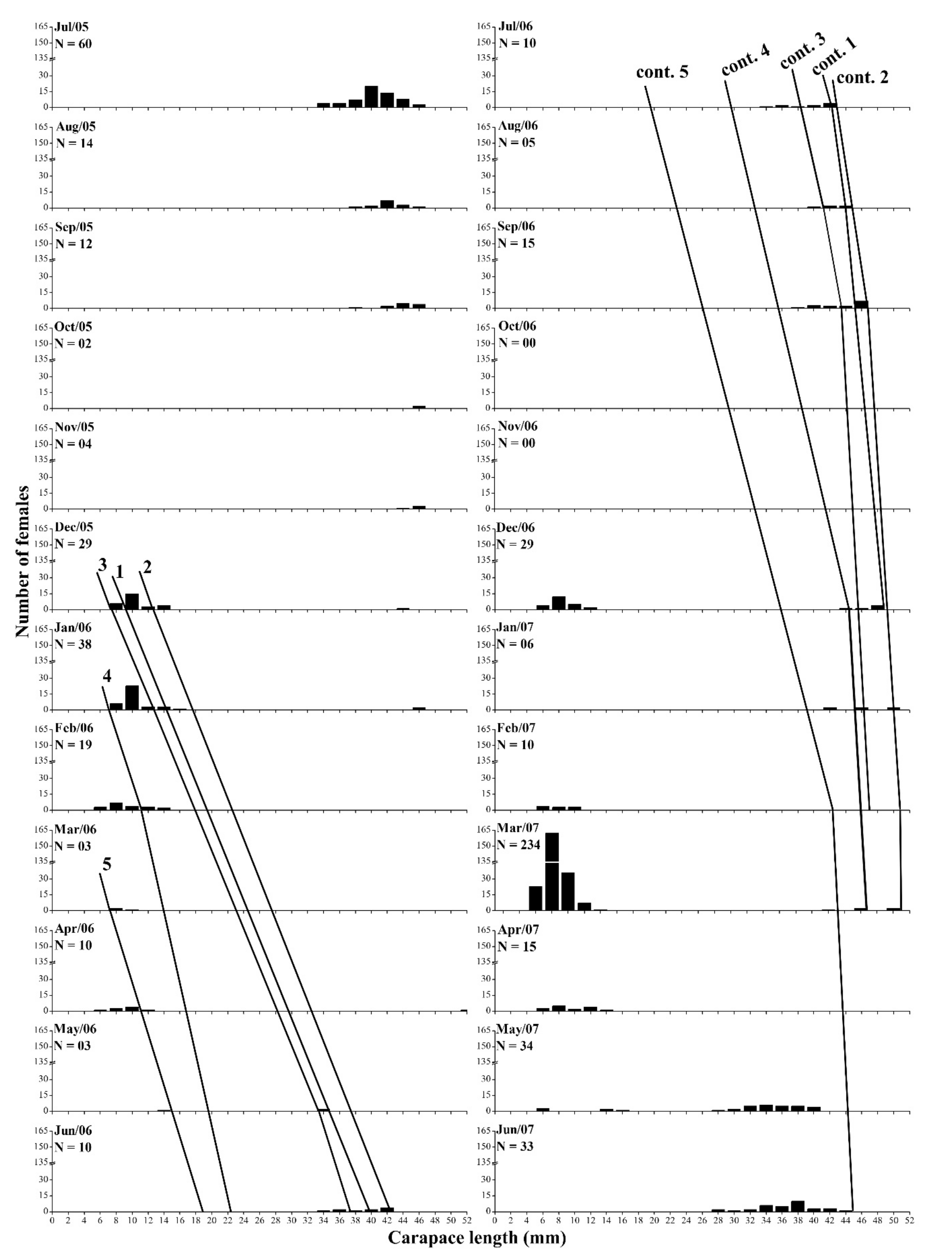 Carapace length (CL) frequency histograms of
females Litopenaeus schmitti (Burkenroad,
1936) in the Ubatuba region of São Paulo, Brazil,
from July 2005 to June 2007. Lines represent the cohorts followed during the
study period to describe individual growth.