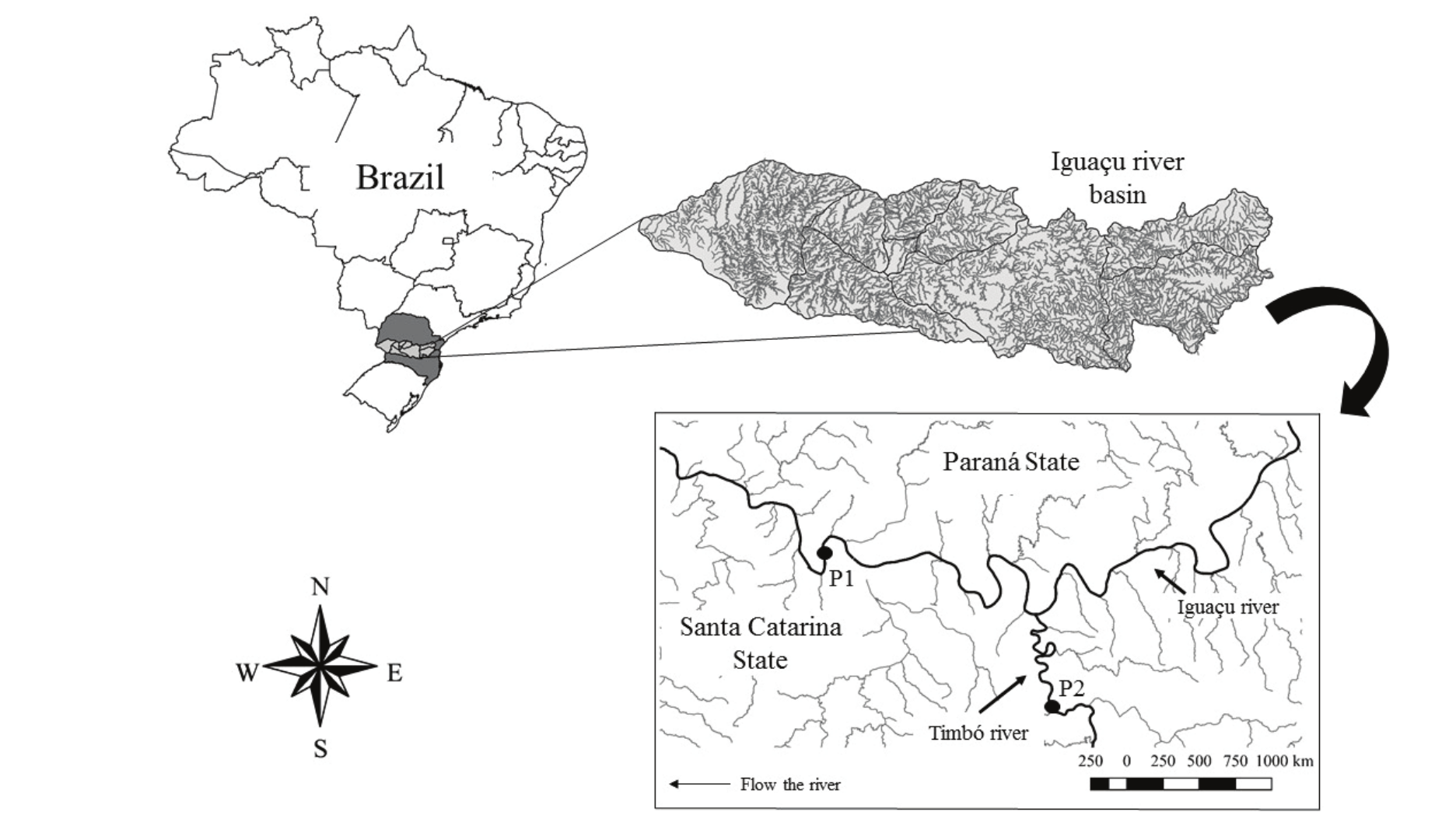 Geographical localization of sampling
sites: Iguaçu river, Paraná (P1) and Timbó river, Santa Catarina (P2).