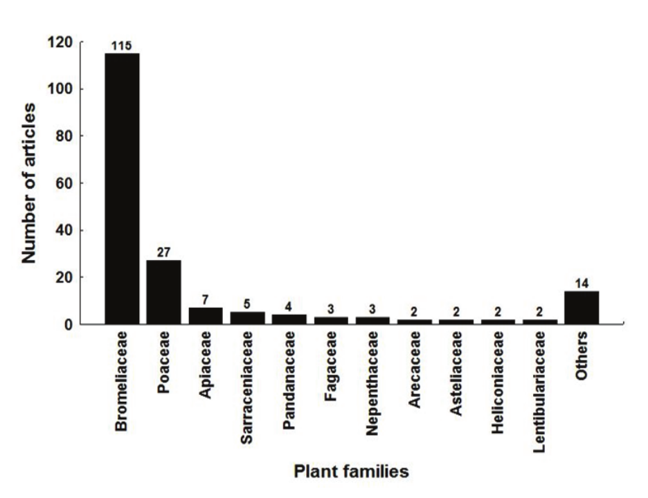 Plant families studied in phytotelmata research. Families cited only once were
included in the topic others