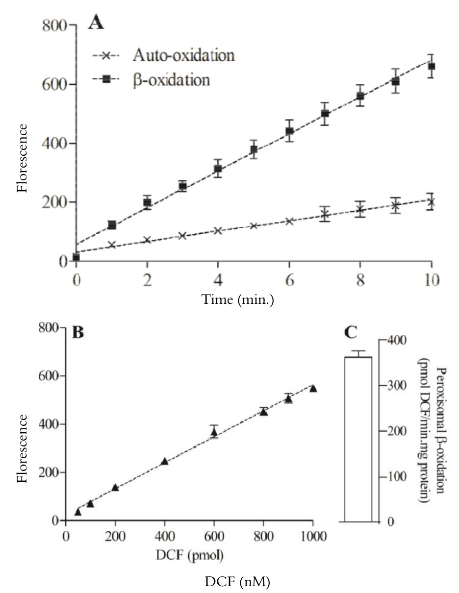 Peroxisomal β-oxidation