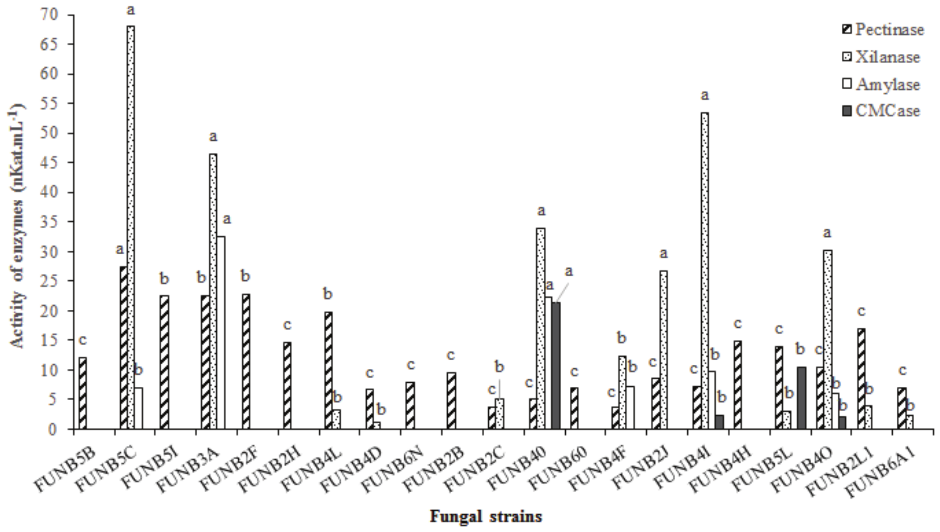  Average activity of the pectinase, xylanase,
amylase and CMCase enzymes produced by fungal lines
in fermentative trials using cassava wastewater as substrate, at the end of 144
hours of fermentation. Equal bars with different letters differ significantly by the Scott-Knott test (p < 0.01).