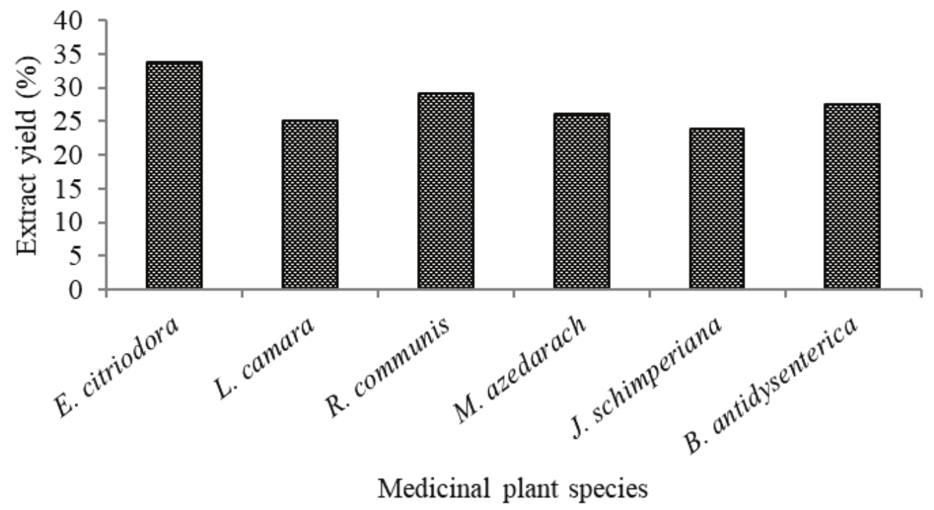 Percentage extract yield of the medicinal plant leaf samples tested. 

 