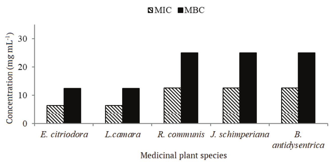 Minimum inhibitory
and bactericidal concentrations of methanol leaf extracts of medicinal plants
against Ralstonia solanacearum. 

 

 