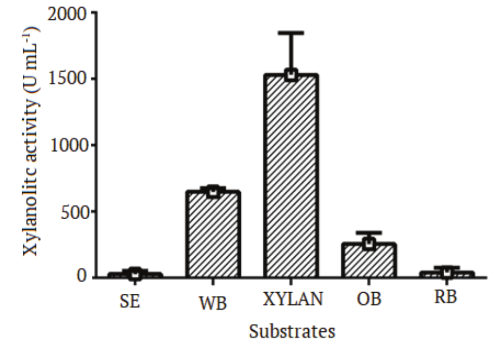 Xylanolytic
activity of crude protein extracts from Bacillus spTC-DT13 using
different substrates such as agricultural residues Soy extract (SE), wheat bran
(WB), oat bran (OB) and rice bran (RB), and xylan
after 48 hours of fermentation. The experiments were performed in triplicate. 

 