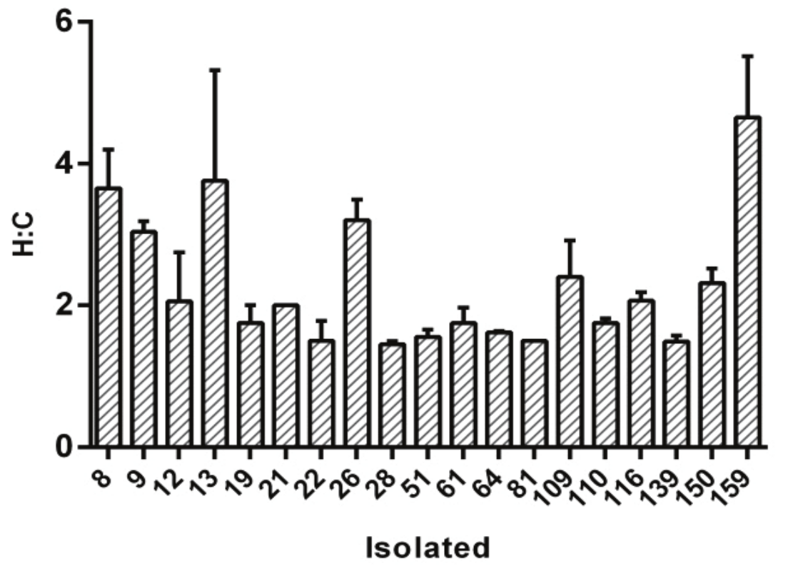 Xylanase
activity of bacteria isolates expressed as the ratio of the halo diameters to
colony size (cm) (H:C) 7 days after inoculation. Enzyme activity was detected
in MSS medium with mineral brine with xylan as sole
carbon source. Error bars represent the standard deviation. Experiments were
performed in triplicate. 

 
