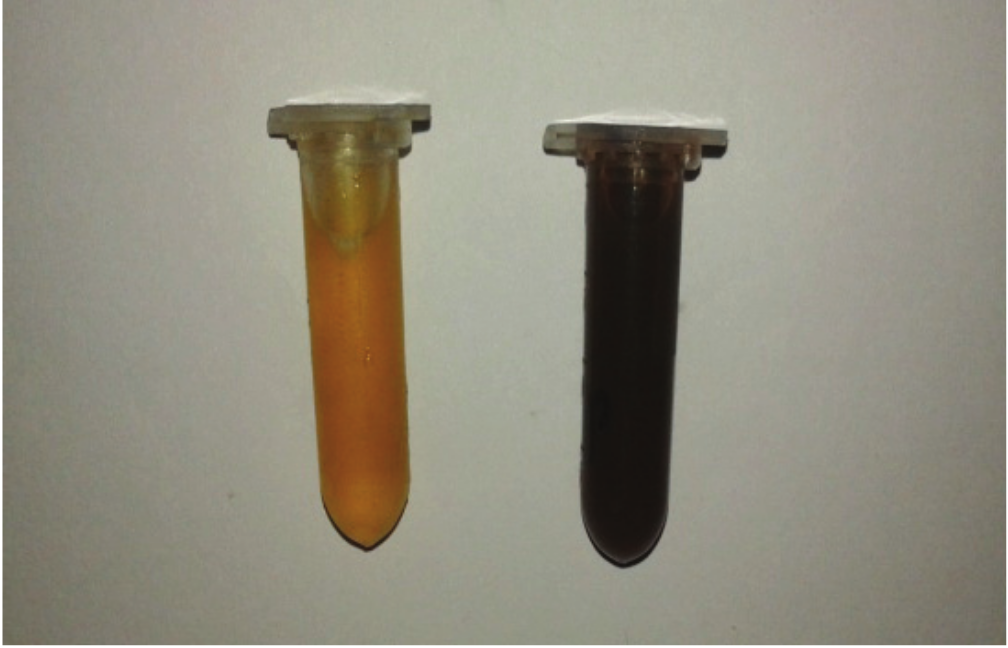 Colour observed in aqueous leaf extract and synthesised silver nanoparticle