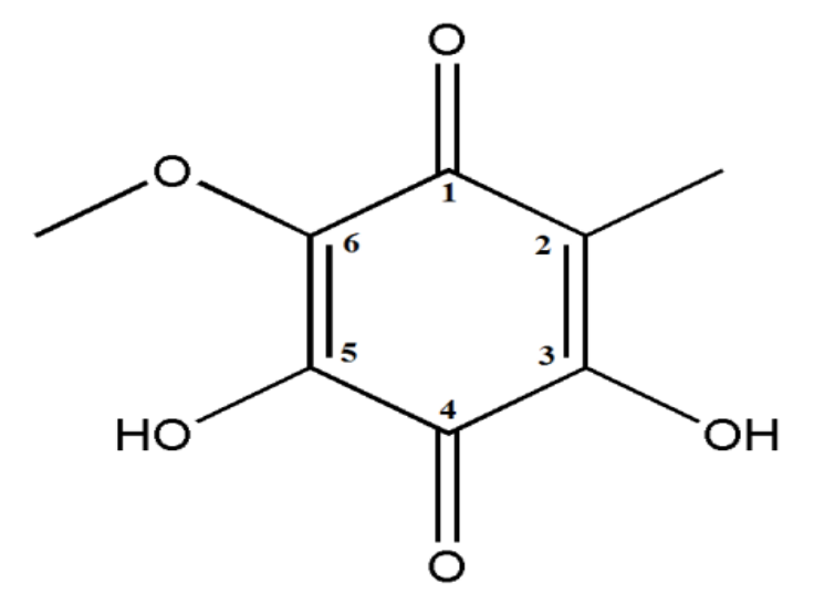 Structure of fumiquinone B (C8H8O5) produced by Neopestalotiopsis sp., endophytic from Begonia fischeri.