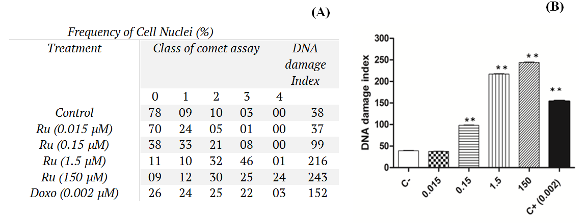A) Concentration-dependent effects of cis-[Ru(C2O4)(NH3)4]2(S2O6) on the DNA damage index, assessed by the comet assay. B) Graphical representation of DNA damage Index of Peripheral human blood lymphocytes treated with different concentrations of cis-[-[Ru(C2O4)(NH3)4]2(S2O6) (0.015-150 M), negative control (C-) and positive control doxorubicin (C+). ** Indicates significant difference in comparison to negative control (p < 0.01).