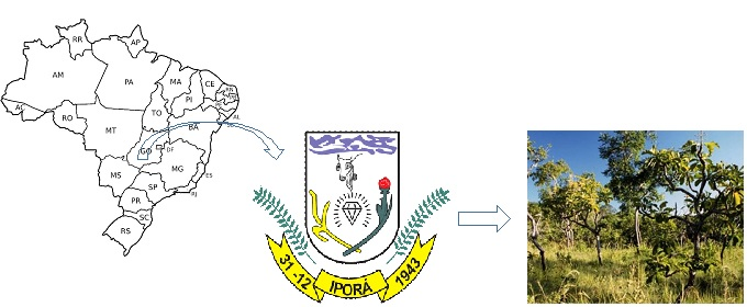 The Cerrado region in Ipor, GO, Brazil.