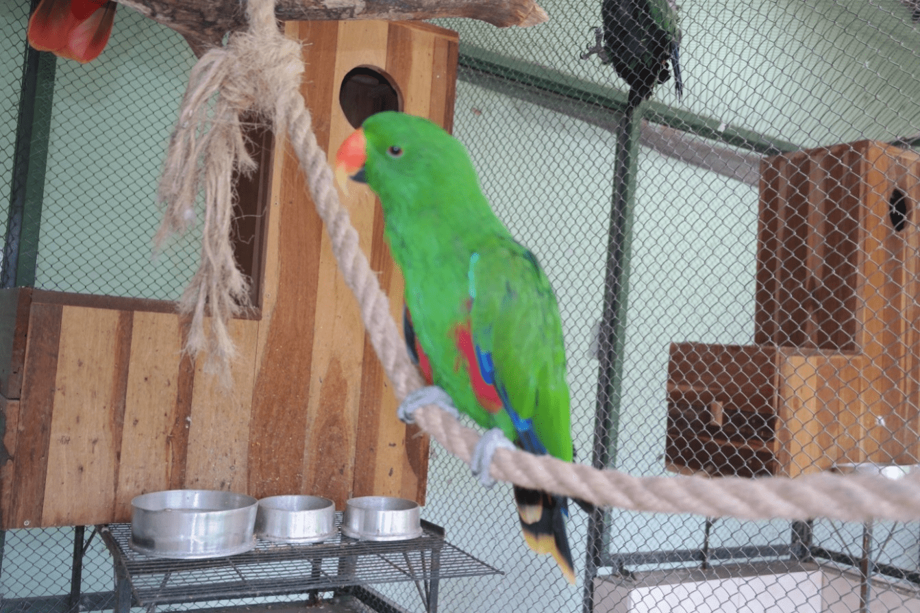 Enclosure structure.