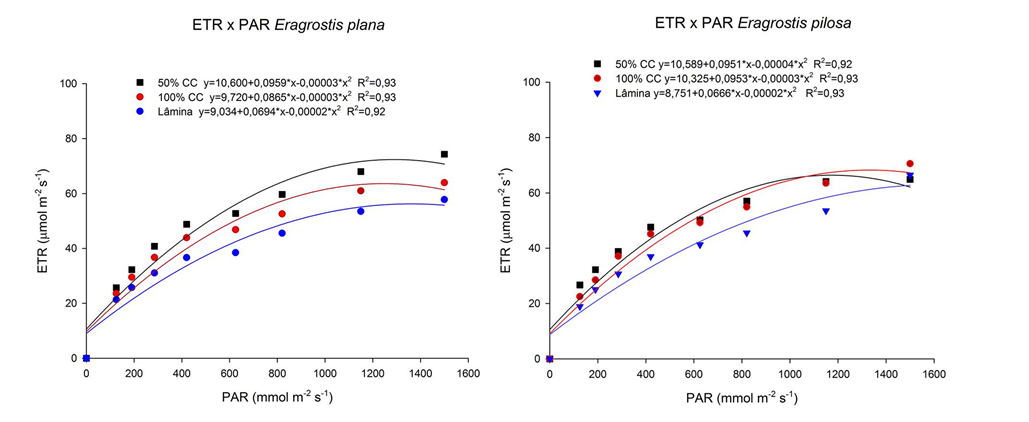 Electron Transfer Rate (ETR) versus light intensity (PAR) measured by chlorophyll fluorescence in three soil moisture conditions and two plant species A. E. plana and B. E. pilosa.)