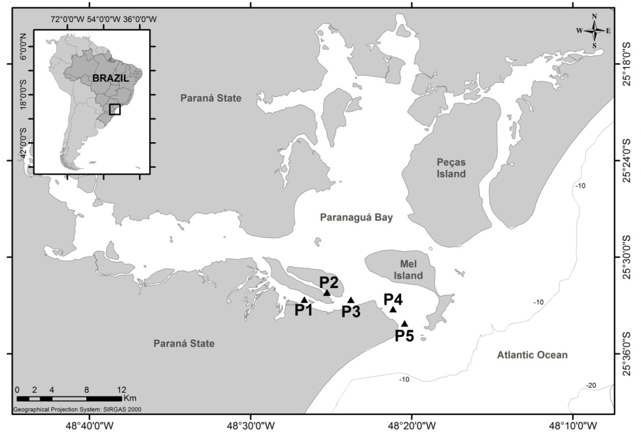 Map of the Paranagu� Estuarine Complex showing sampling sites (P1 = Papagaio, P2 = Sucuriu, P3 = Bagua�u, P4 = Ponta do Po�o and P5 = Pontal do Sul)