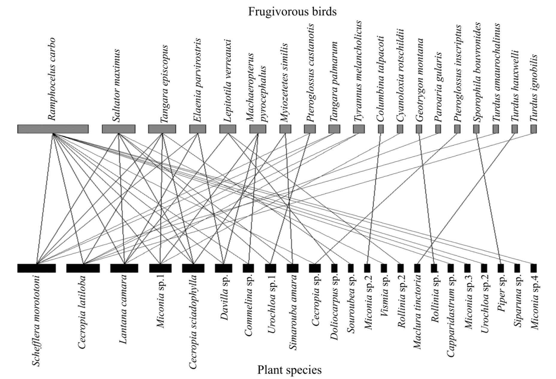 Bird-plant interactions determined from the analysis of the fecal samples collected from the birds captured in the present study area on the Catuaba Experimental Farm in Acre, Brazil.