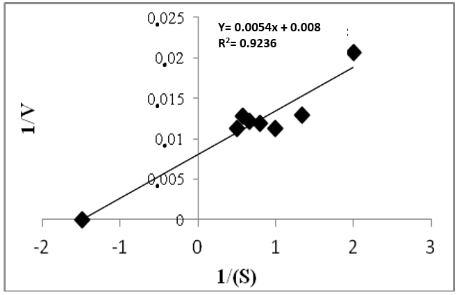 Lineweaver-Burk plot of sorghum esterase using p-nitrophenyl butyrate as the substrate for the determination of Km and Vmax