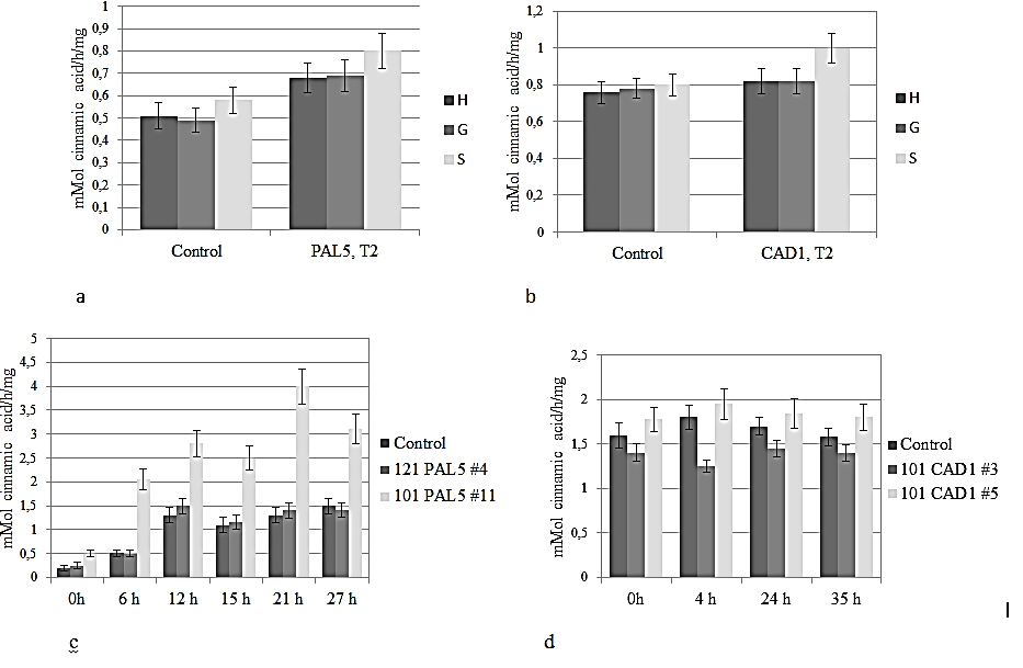 Lignin content and enzyme activity in T2 transgenic lines with introduced lignification genes. a - The lignin content in control and T2 soybean transgenic plants expressing PAL5 gene. b - The lignin content in control and T2 soybean transgenic plants expressing CAD1 gene. H - hydroxyphenyl, G - guaiacyl, and S – syringyl monomers of lignin. c - Changes over time of enzyme PAL5 activity in transgenic lines expressing PAL5 gene. d – Changes over time of enzyme CAD activity in transgenic lines expressing CAD1 gene. Error bars represent (n=8) (Weissgerber, Milic, Winham, Garovic, 2015)