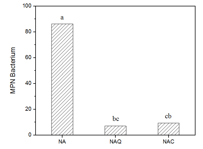 Analysis of the Most Probable Number (MPN) of bacteria in different culture media. NA- Nutrient Agar medium; NAQ - Nutrient Agar medium without carbon source, plus 2 % chitosan; NAC - Nutrient Agar medium without carbon source. a-c Columns bearing different letters differ significantly (p ≤ 0.05) according to Tukey’s test - PAST software according Hammer, Harper, and Ryan (2001).