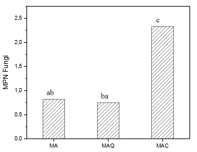 Analysis of the Most Probable Number (MPN) of fungi in different culture media. MA – Martin’s Medium; MAQ – Martin’s medium without dextrose, plus 2 % chitosan; MAC – Martin’s medium without dextrose. a-c Columns bearing different letters differ significantly (p ≤ 0.05) according to Tukey’s test - PAST software, according Hammer et al. (2001)