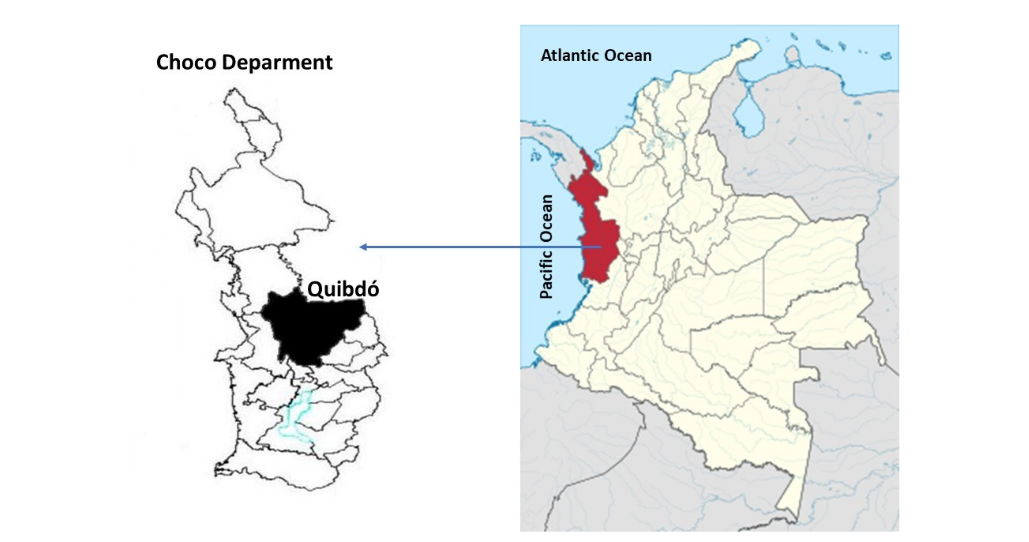 Geographica|l location of the collection point for plant material (Source: Instituto Geogrfico Agustin Codazzi and QGIS version 2.18).