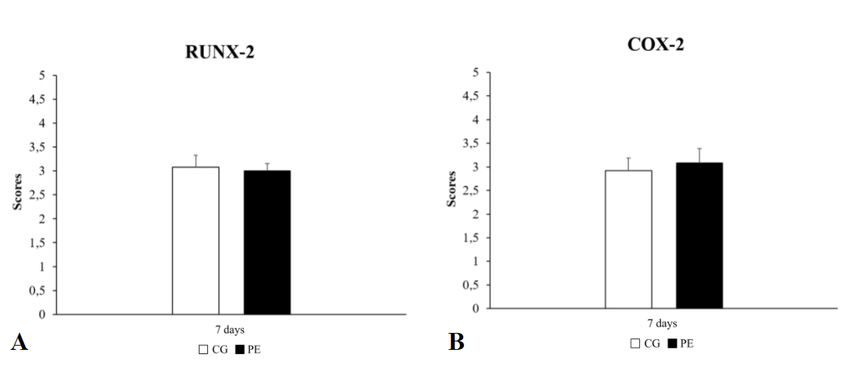Figure 9. (A) Means and standard deviation of Runx-2 immunostaining scores for CG and PE 7 days after surgery. (B) Means and standard deviation of Cox-2 immunostaining scores for CG and PE 7 days after surgery.