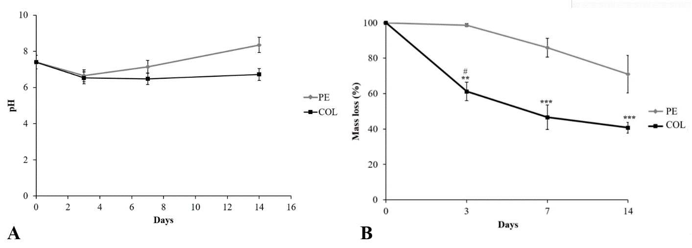 Figure 3. A. pH measurements of PBS after contact with PE and COL; B. Mass loss of PE and Col immersed in PBS up to 14 days. Double asterisk indicates p < 0.01 and triple asterisk indicates p < 0.0001.