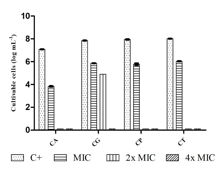 Figure 5. Minimal biofilm eradication concentration of PE on biofilms formed by Candida spp. CA - Candida albicans; CG - Candida glabrata; CP - Candida parapsilosis; CT - Candida tropicalis; C+: growth of yeast suspension without PE.
