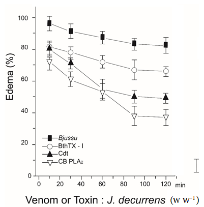 Figure 3. Inhibition of the edema-inducing activity of Bothrops spp. and Crotalus spp. venoms by the aqueous extract from Jacaranda decurrens leaves (AELJd). Effect of AELJd upon the edema-inducing activity of Bjussu and C.d.t venoms and their main isolated PLA2s (BthTX-I and CB PLA2, respectively) at a 1:50 (w w-1, venom or toxin: extract) ratio. The values presented in the graphic were obtained after subtraction of venom- or toxin-induced edema. Each experiment represents the mean  SD (n = 6).