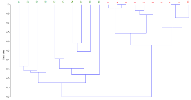 Figure 2. Bray-Curtis dissimilarity analysis for the plots studied in an Atlantic Forest area, Aracaju, Sergipe State, Brazil. Where: numbers in red = portions of the environment invaded by Ricinus communis; green numbers = portions of the environment not invaded by the exotic invader.