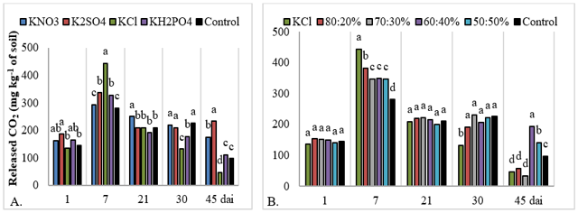 Figure 1. Soil microbial activity in response to the application of potassium sources (A) and KCl:K2SO4 combinations (B) at a dose of 200 mg dm-3 of K2O at 1, 7, 21, 30 and 45 days after incubation (dai). 80:20% corresponds to the percentage of KCl and K2SO4, respectively, and so on. Equal letters do not differ from each other by the Scott-Knott test (p <0.05).