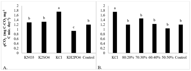 Figure 4. Metabolic quotient (qCO2) at 45 days after incubation in response to the application of potassium sources (A) and KCl:K2SO4 combinations (B) at a dose of 200 mg dm-3 of K2O. 80:20% corresponds to the percentage of KCl and K2SO4 respectively, and so on. Equal letters do not differ from each other by the Scott-Knott test (p <0.05).