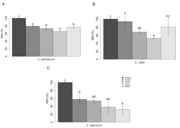 Figure 2. Mycelial growth velocity index (MGI) for three phytopathogens paired with different strains of Trichoderma spp. Labels on the graphs correspond to the treatments Control (only the pathogens – used as negative control), TCOM (T. harzianum IBLF006 – used as a positive control), TLAG (Trichoderma sp. from Lages), TRDS (Trichoderma sp. from Rio do Sul) and TCUR (Trichoderma sp. from Curitibanos). All strains described were used to test the impact on the MGI of Sclerotinia sclerotiorum (A), Sclerotium rolfsii (B) and Sclerotium cepivorum (C). For each graph, same letters showed no difference between treatments. Tukey test ran at 95% confidence level.