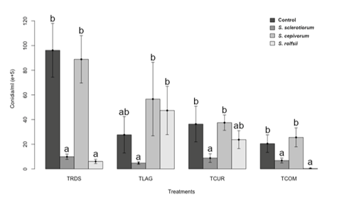 Figure 4. Conidia production comparison of each Trichoderma spp. strain when paired with different plant pathogen. Each treatment refers to the isolates of Trichoderma spp. Tukey test was run out with a 95% confidence interval. Same letters within treatments show no statistical differences between the pathogenic fungi and control (only the Trichoderma spp.). P values for TRDS (Trichoderma sp. from Rio do Sul), TLAG (Trichoderma sp. from Lages), TCUR (Trichoderma sp. from Curitibanos) and TCOM (T. harzianum) are less than 0.001.