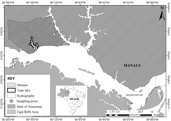 Figure 1. Sampling site of specimens in the environmental protection area - Reserva de Desenvolvimento Sustentvel Tup (lower Rio Negro, Amazonas state, Brazil).