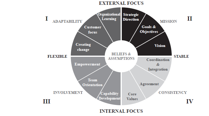 Denison Organizational Culture
Survey